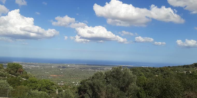 Villa Bellocchio Locorotondo Dış mekan fotoğraf